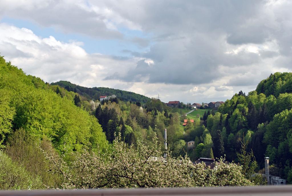 Fewo Radi An Der Buchberger Leite Apartman Hohenau Kültér fotó